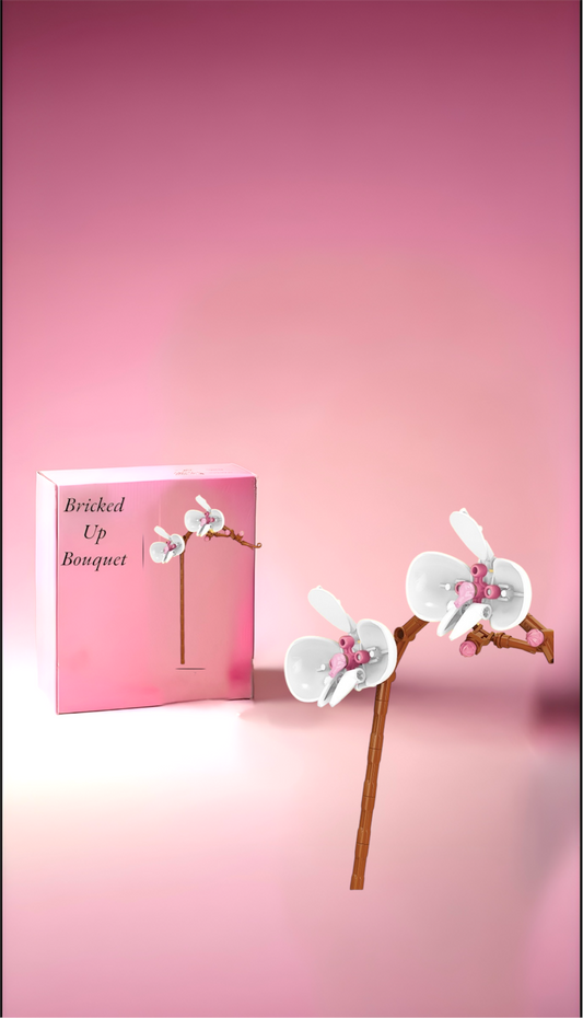 midnight orchid